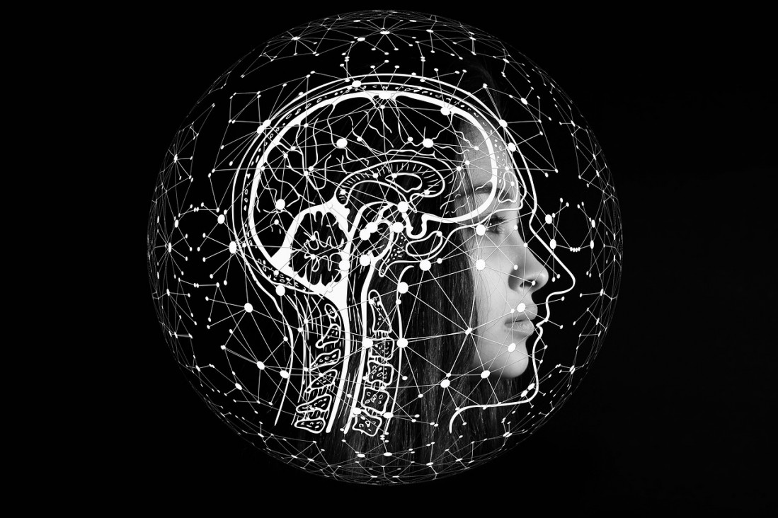 imagen ¿El cerebro tiene género?: deconstruyendo la mirada neurosexista