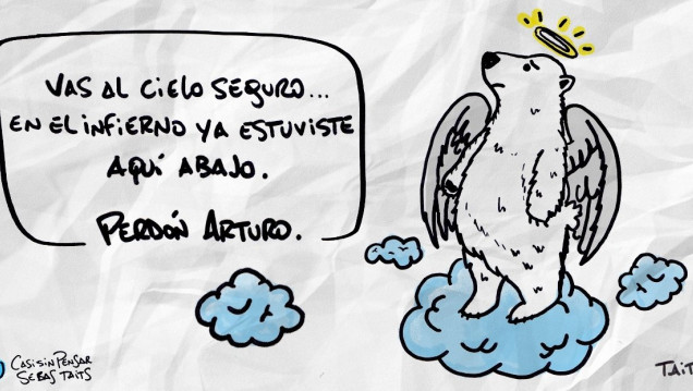 imagen Video: "Arturo comenzó su viaje al cielo de los osos"