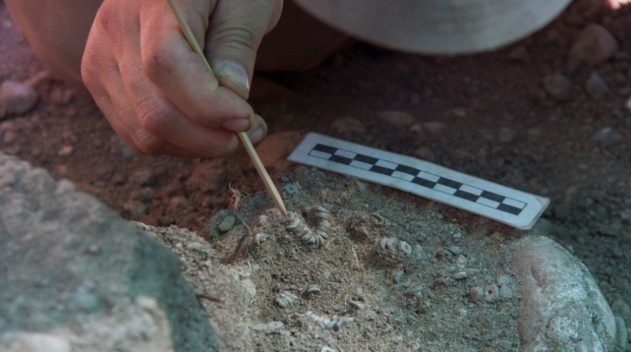 imagen Hallaron un cementerio indígena a cuadras del rascacielos más alto de Latinoamérica