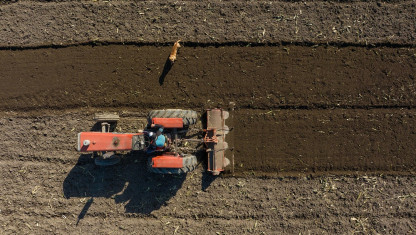 imagen En Mendoza disminuyen las fincas pequeñas y crecen las grandes