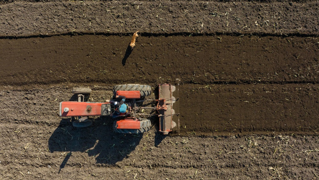 imagen En Mendoza disminuyen las fincas pequeñas y crecen las grandes