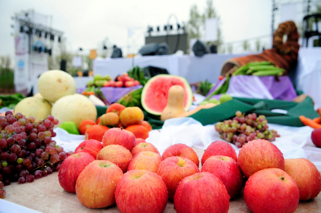 imagen Seguí en vivo la Bendición de los Frutos
