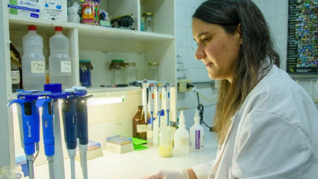 imagen Secuenciar el genoma de la lagartija, la llave para que las especies subsistan al cambio climático
