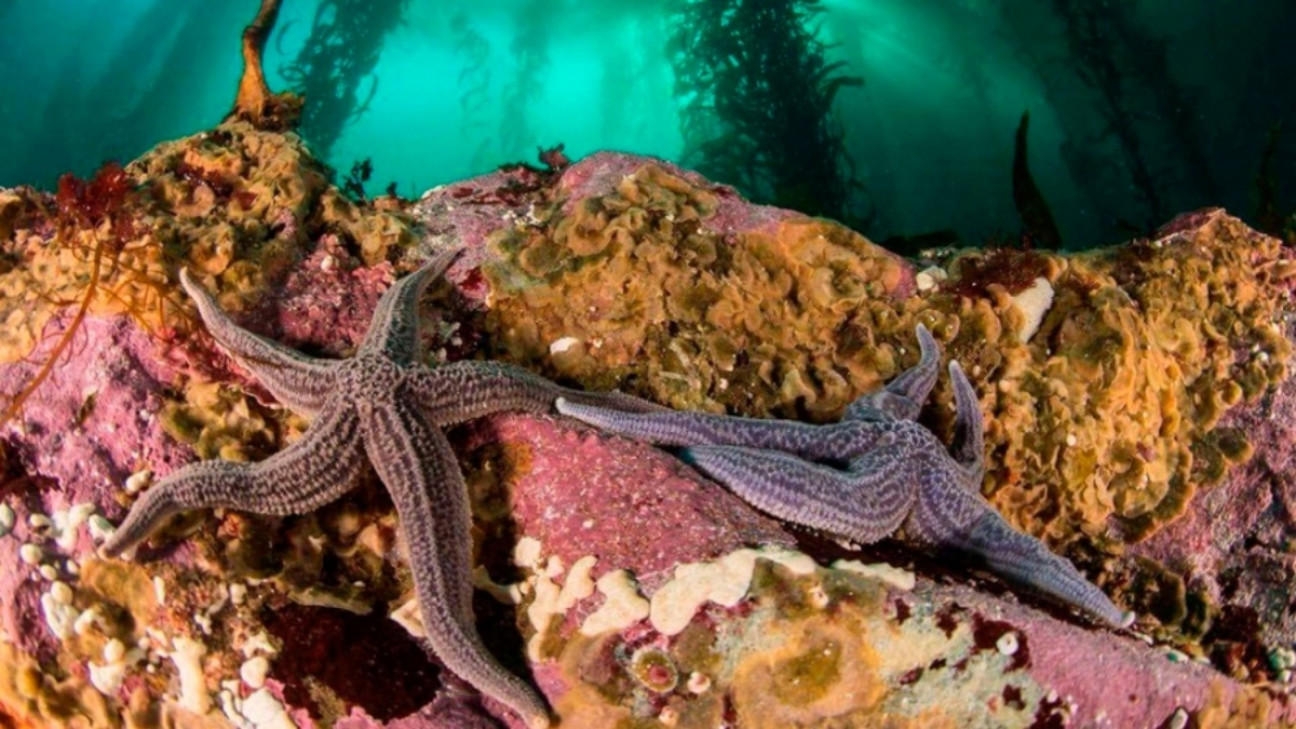 imagen La UE destinará 3 millones de euros para proteger la biodiversidad en la Patagonia