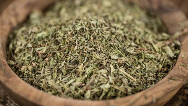 imagen El consumo de yerba orgánica se expande en la Argentina