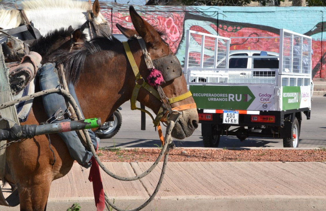 imagen Godoy Cruz "jubila" caballos carreteleros