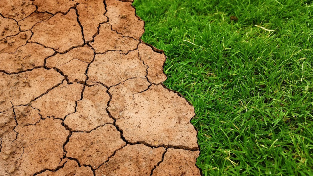 imagen "Es el momento de la acción": limitar el calentamiento global requiere cambios de estilos de vida