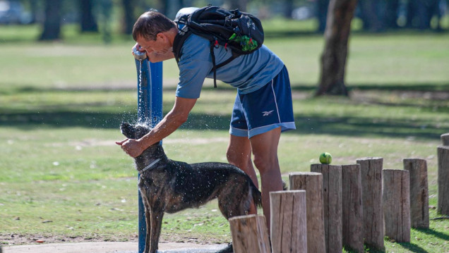 imagen El cambio climático hizo 60 veces más probable la ola de calor que se abatió en la Argentina
