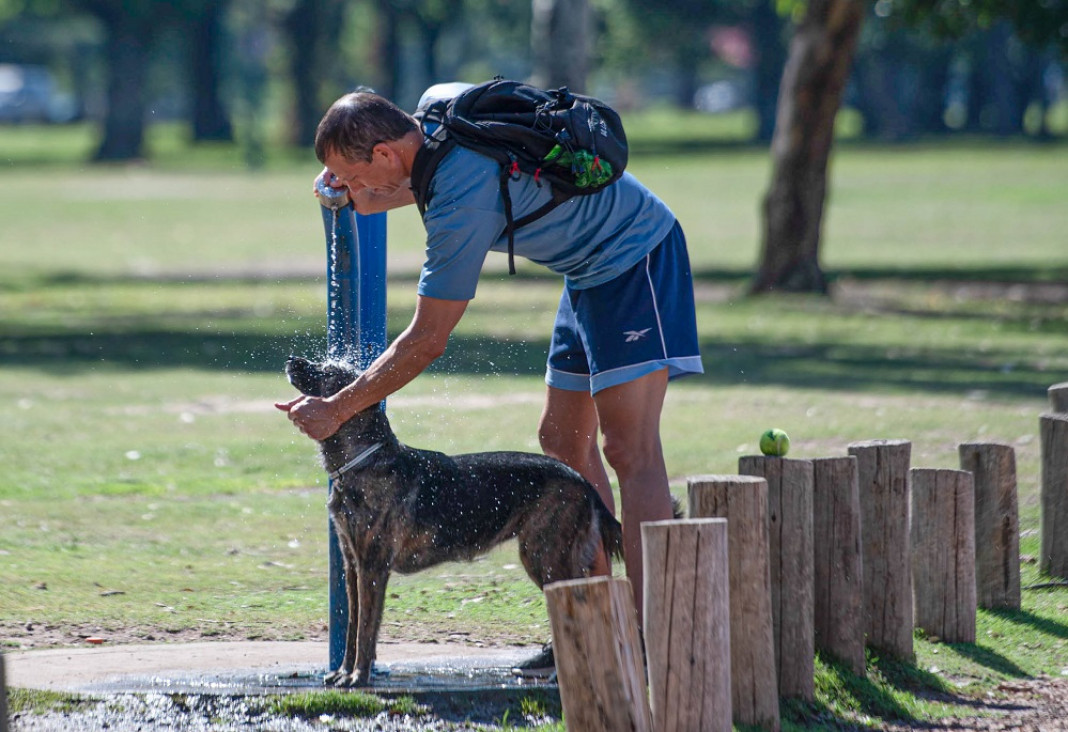 imagen El cambio climático hizo 60 veces más probable la ola de calor que se abatió en la Argentina