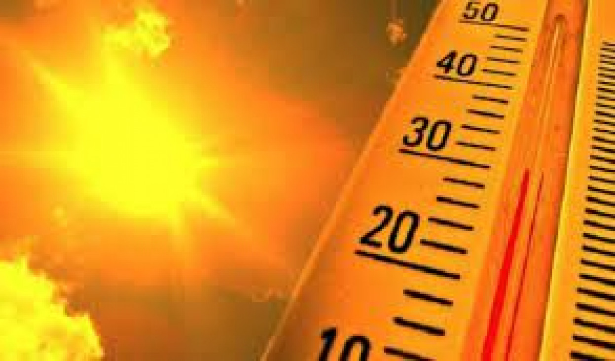 imagen Mendoza, en alerta roja por el calor