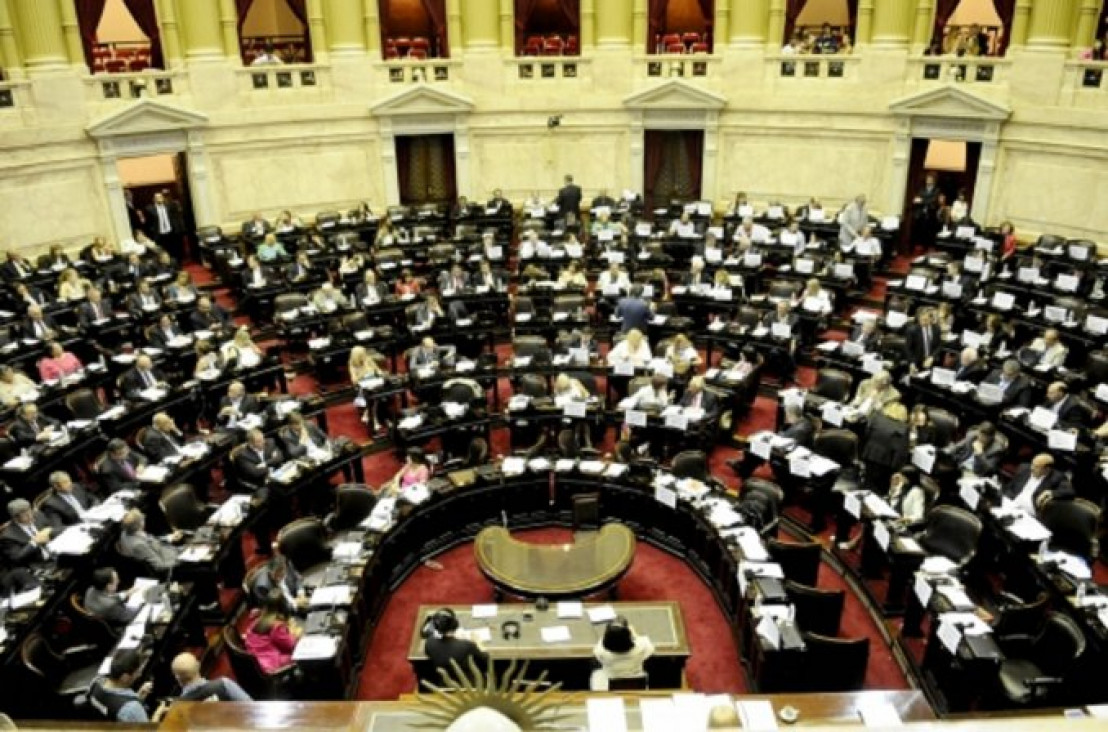 imagen Quieren crear tribunales ambientales en todo el país