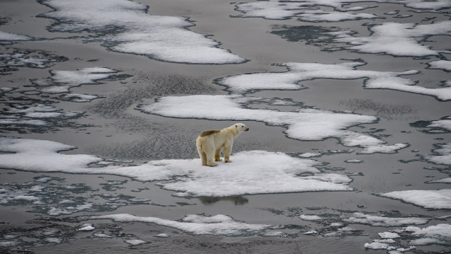 imagen La temperatura media aumentará 1,5 grados hacia 2035, según el último informe sobre cambio climático