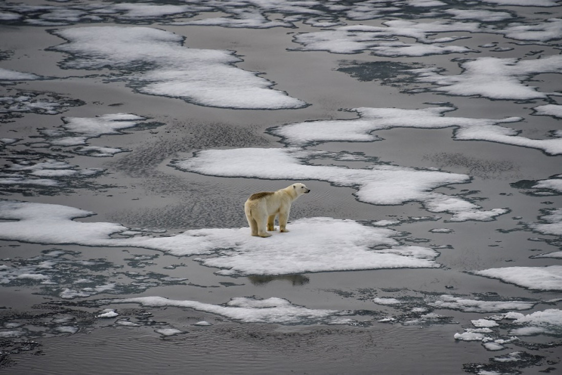 imagen La temperatura media aumentará 1,5 grados hacia 2035, según el último informe sobre cambio climático