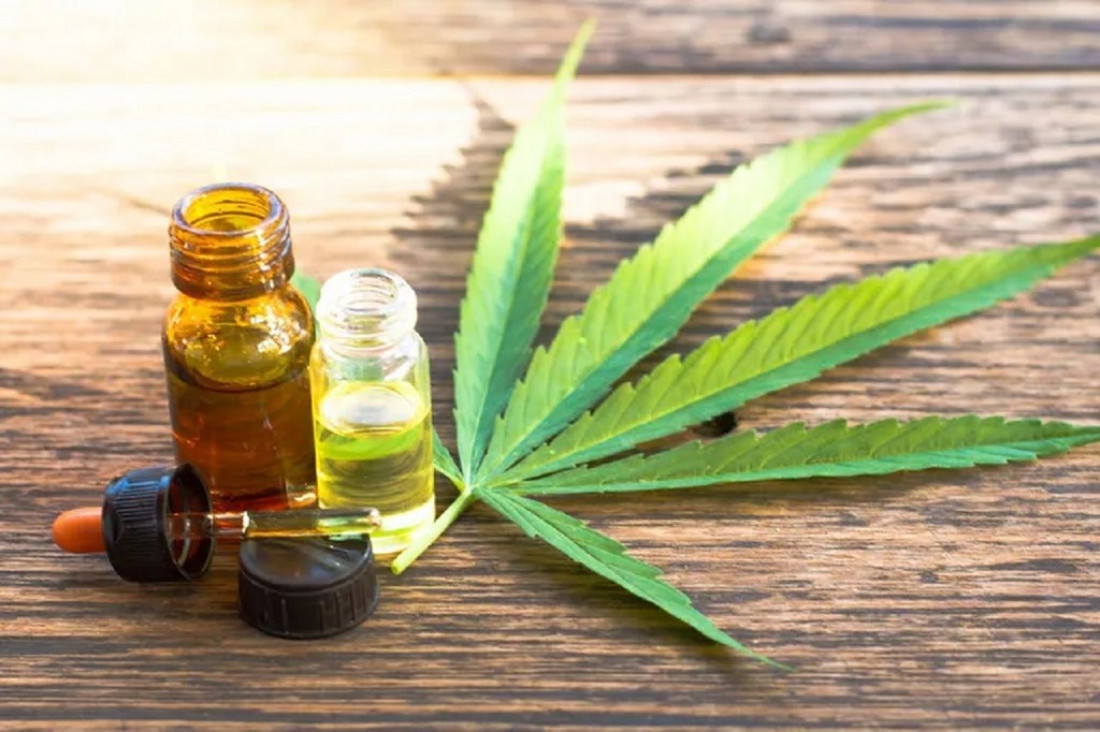 imagen Alberto Fernández promulgó la Ley de Cannabis Medicinal: "Es un triunfo contra la hipocresía"