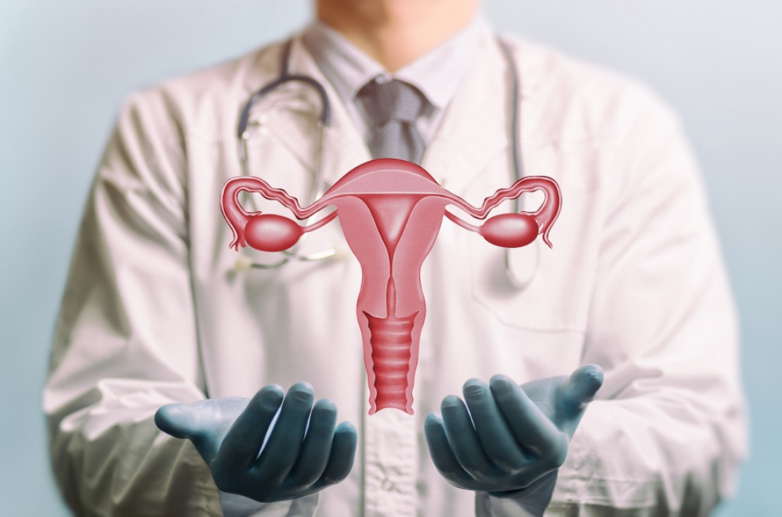 imagen Según un estudio, los microbiomas son indicadores para la detección precoz del cáncer de ovarios