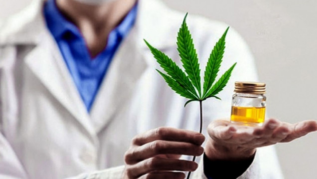 imagen Después de un año en prisión, absolvieron a un cultivador de cannabis medicinal 