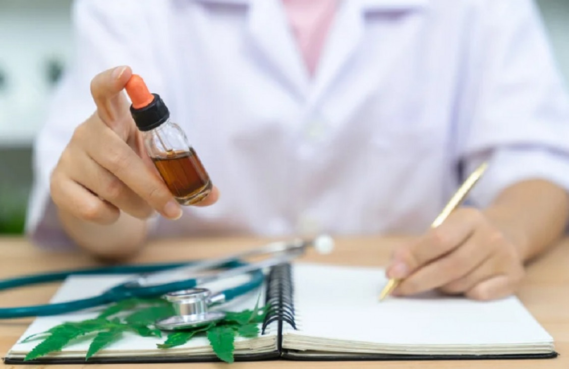 imagen Llegó el día para debatir el uso medicinal y terapéutico de la planta de Cannabis