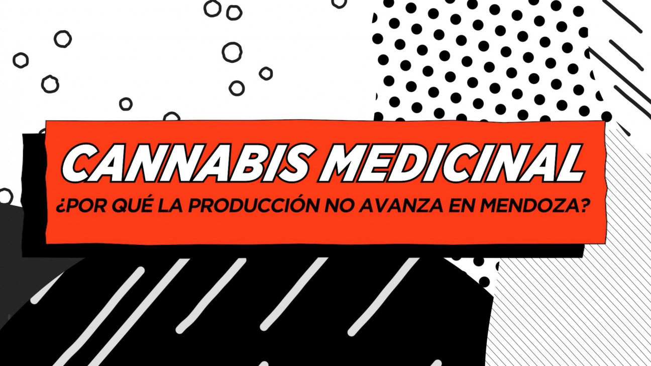 imagen Con voto unánime, avanza el proyecto de ley para el uso del cannabis medicinal
