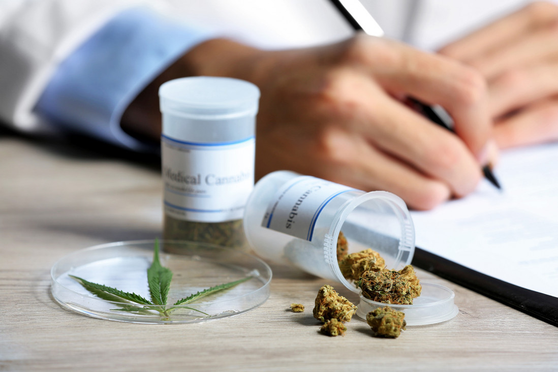 imagen Empieza el debate por el cannabis medicinal en el Senado