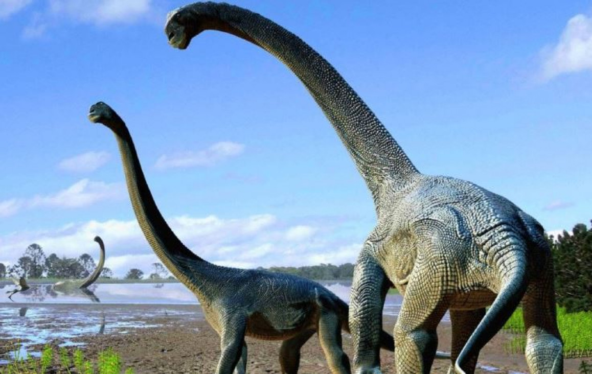 imagen Encuentran huellas de dinosaurios de 66 millones de años de antigüedad en Jujuy