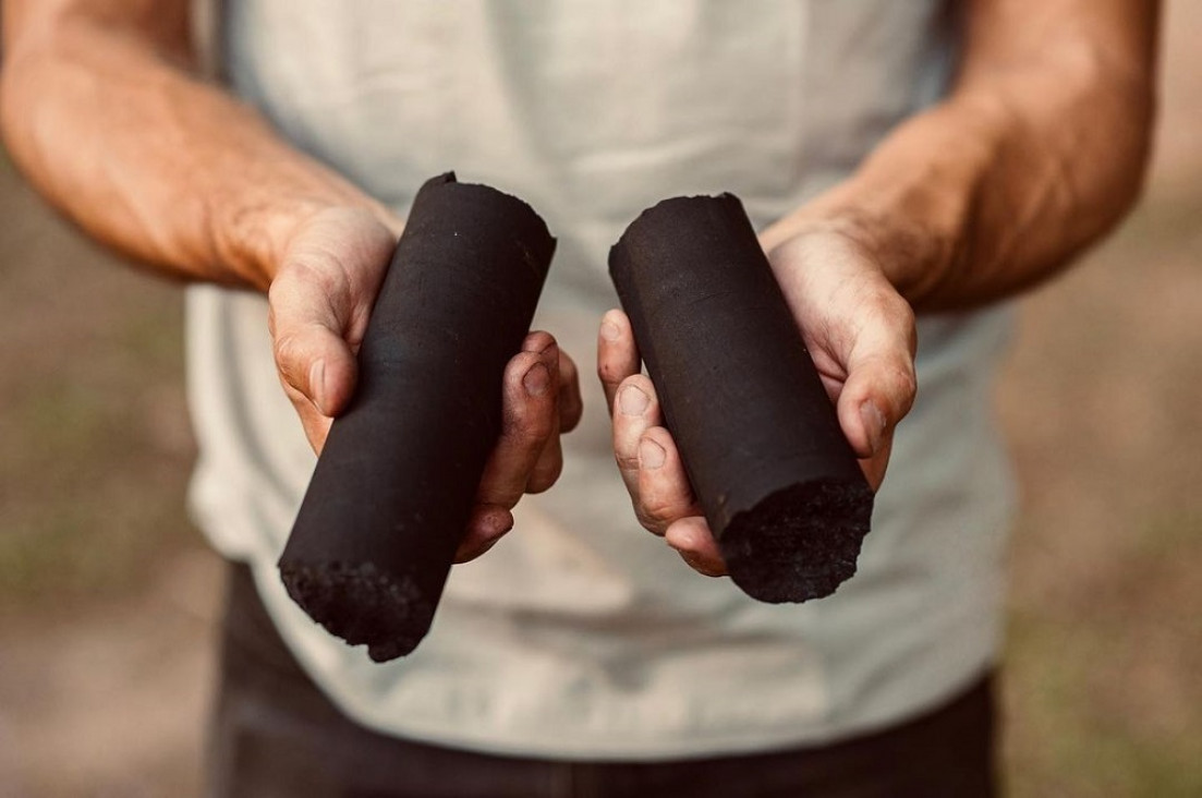 imagen Carbón ecológico: ¿el futuro inevitable para hacer asado? 