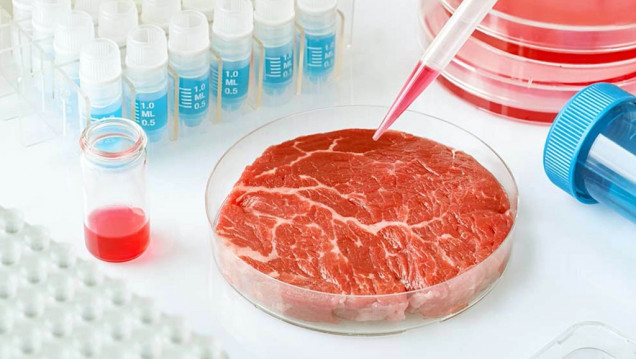 imagen Proponen aumentar el consumo de carne artificial para reducir emisiones de CO2 y la deforestación