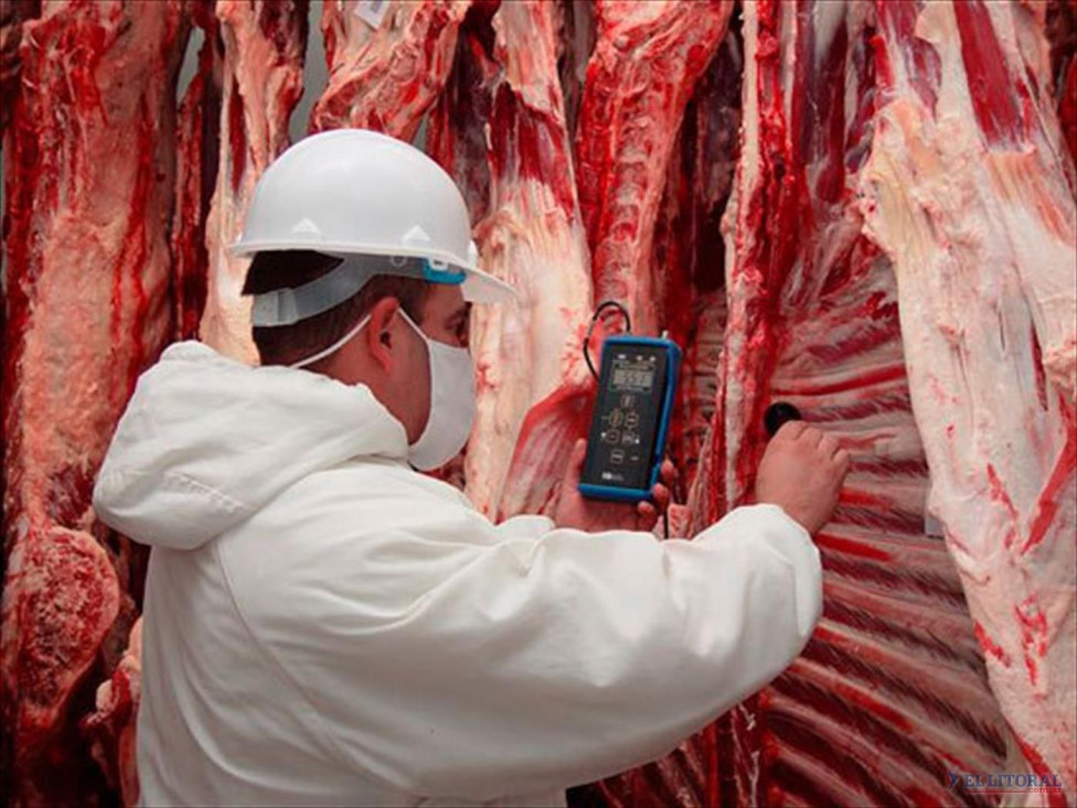 imagen China habilitó a 28 plantas argentinas para exportar carne