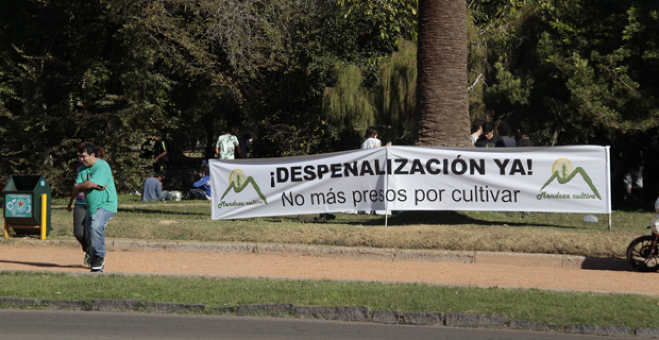 imagen Una multitud se "plantó" por la despenalización del cultivo y consumo de marihuana