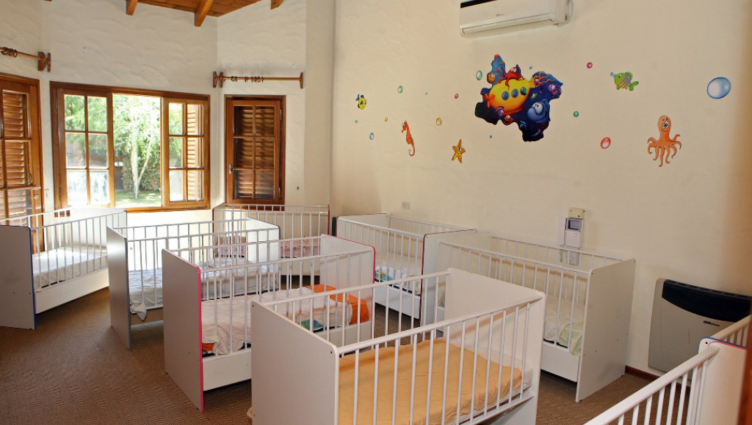 imagen Nueva estructura para la Dinaf