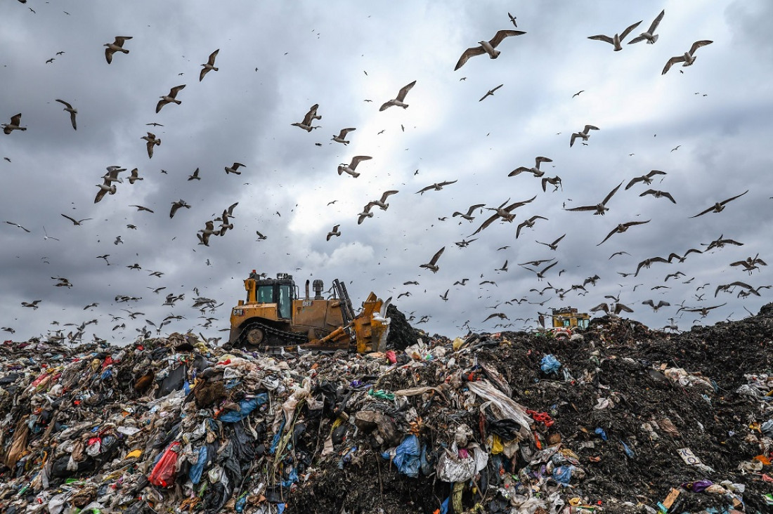 imagen Cero Desechos: ¿es posible el cambio hacia una economía circular?