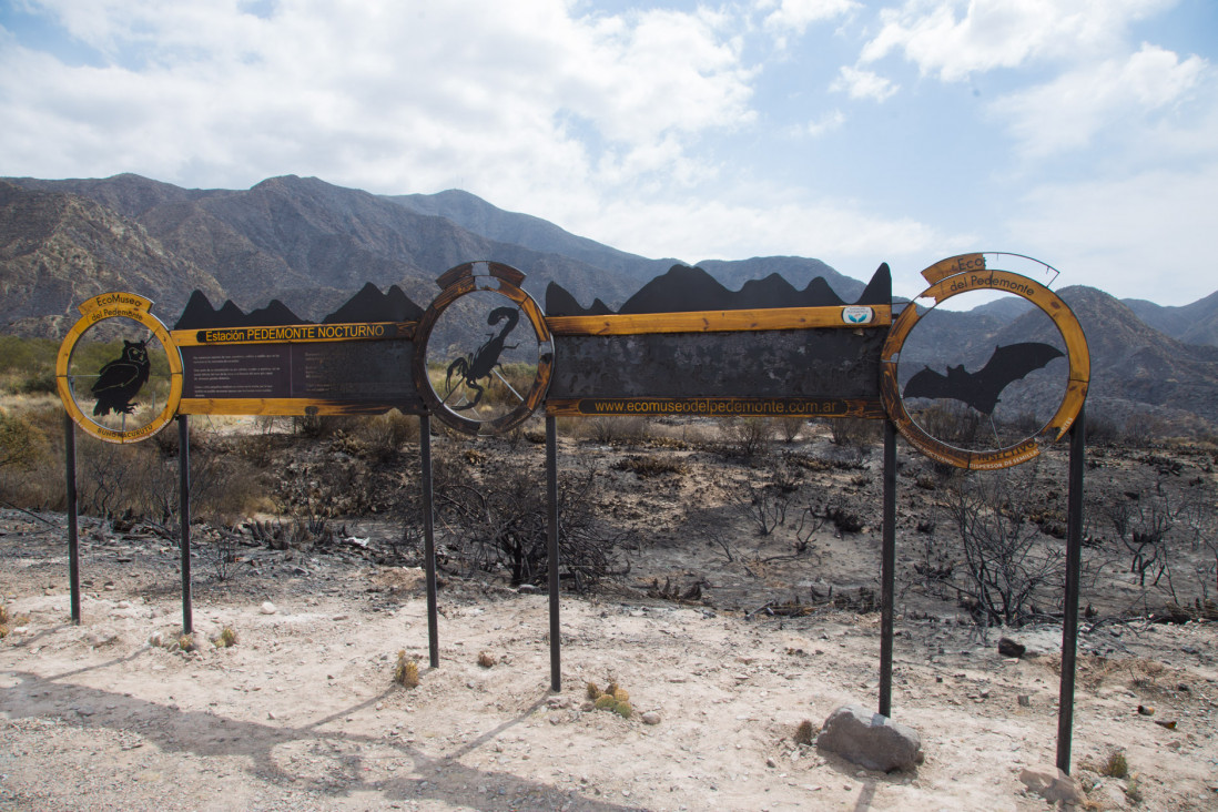 imagen Así quedó el Cerro Arco después del incendio