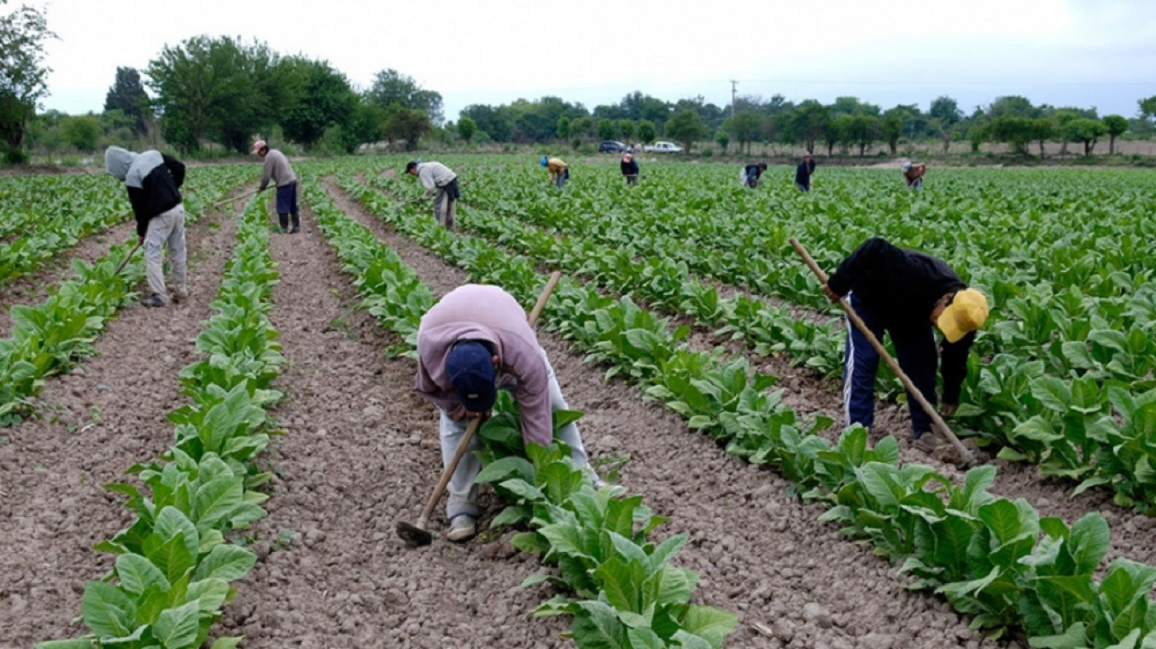 imagen Impulso para la agricultura familiar, el sector que produce casi todo lo que consumimos