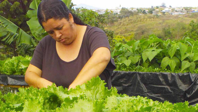 imagen Trabajo decente por la igualdad