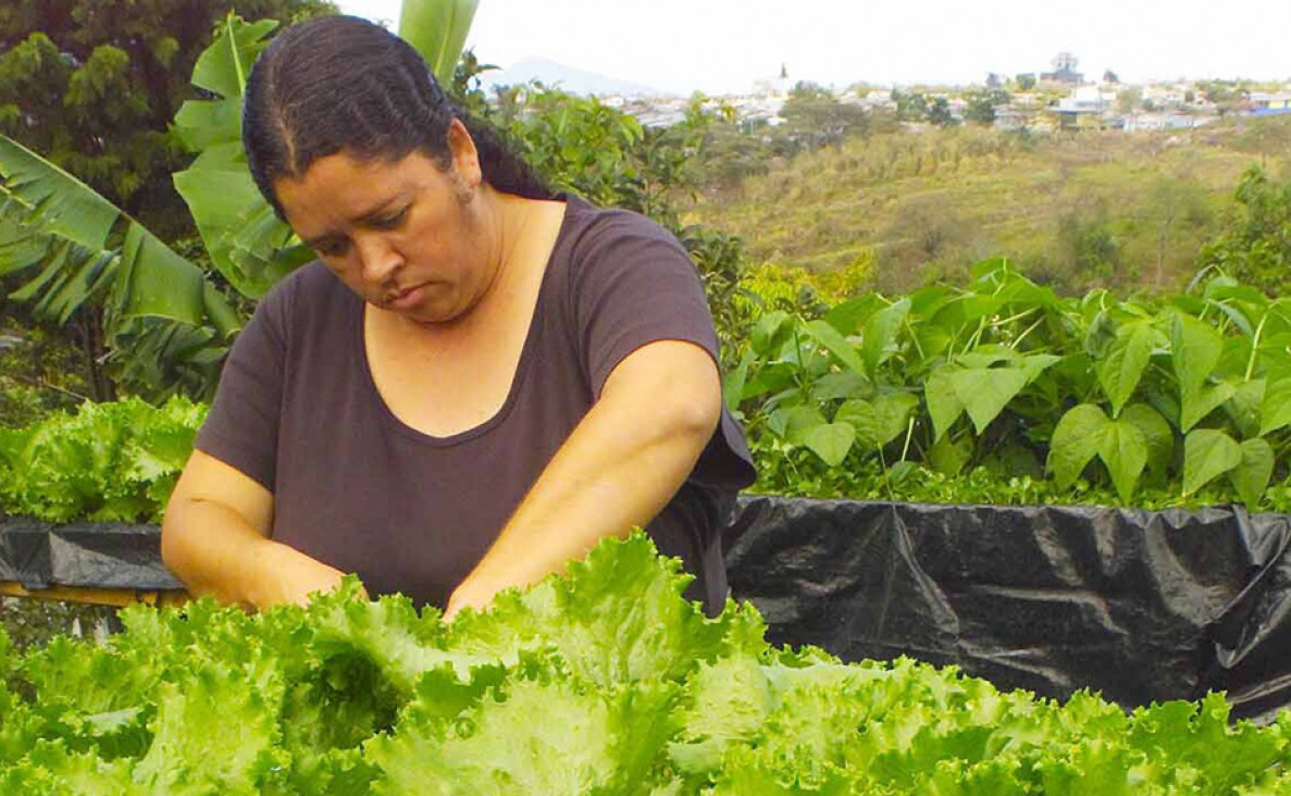imagen Trabajo decente por la igualdad