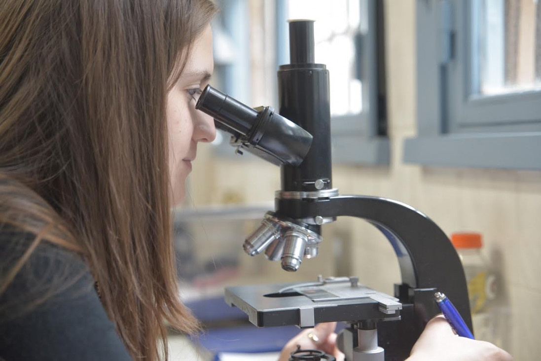 imagen Ciencia: muchos investigadores pero poco dinero para investigar