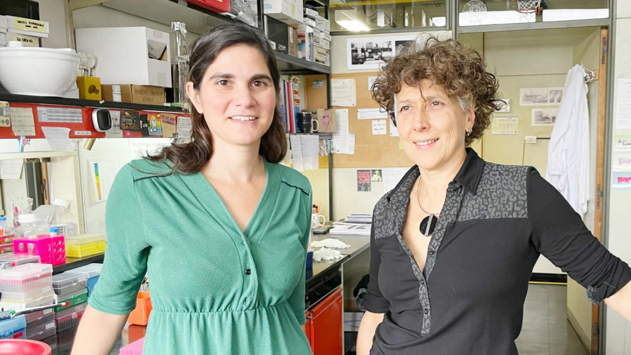imagen El Conicet abrió una sala virtual dedicada a las mujeres científicas