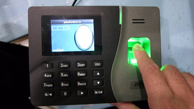 imagen El empleo registrado creció el 2,1% en octubre
