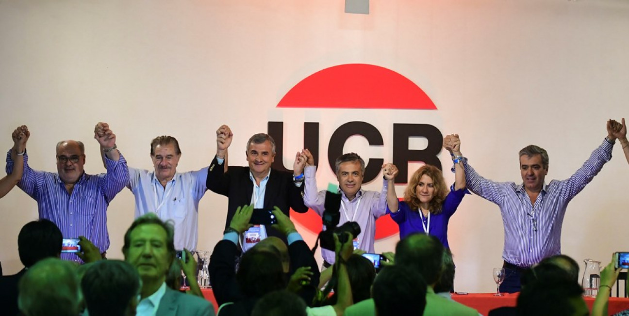 imagen Alfredo Cornejo es el nuevo presidente nacional de la UCR