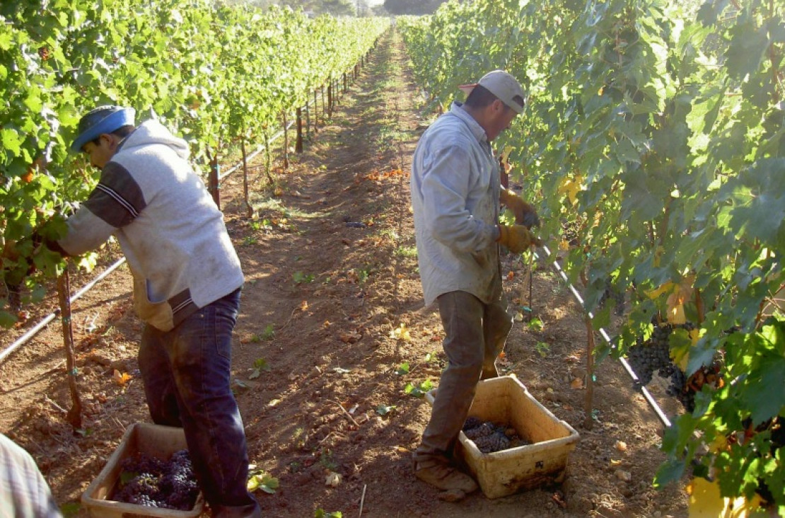 imagen Mendoza acordó con Colombia activar sectores productivos locales