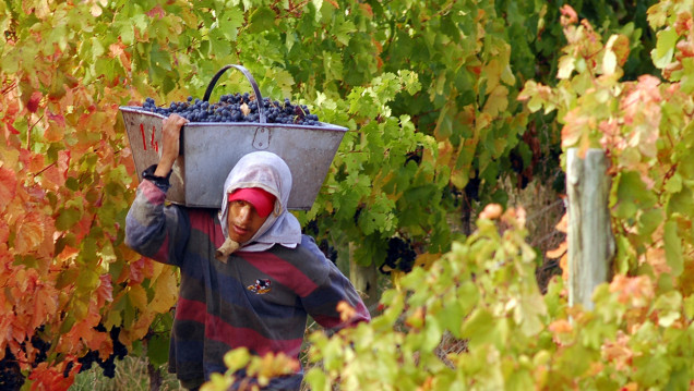 imagen En Buenos Aires ya hablan de la "Resolución 125 del vino"