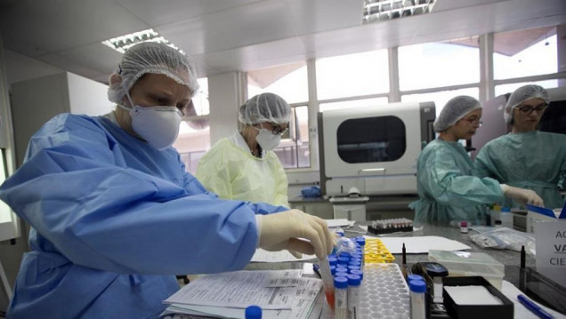 imagen Confirmaron 24 nuevas muertes y 1.374 contagios por COVID-19 en Argentina