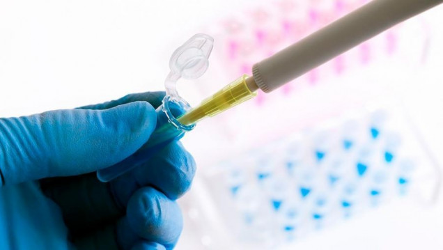 imagen Estudios reafirman que el SARS-CoV-2 no se originó en un laboratorio