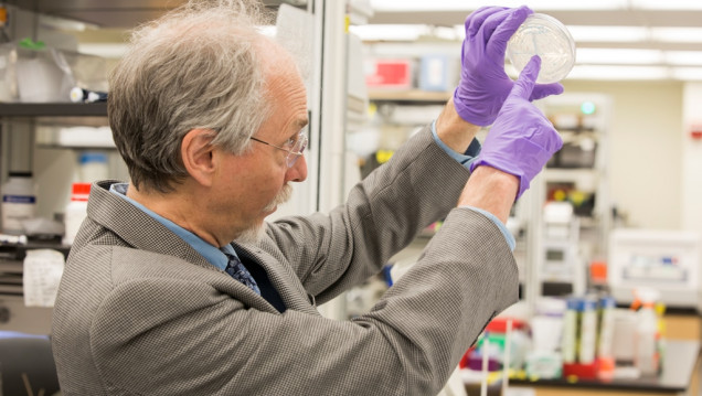 imagen La ciencia, cada vez más cerca de la vida artificial