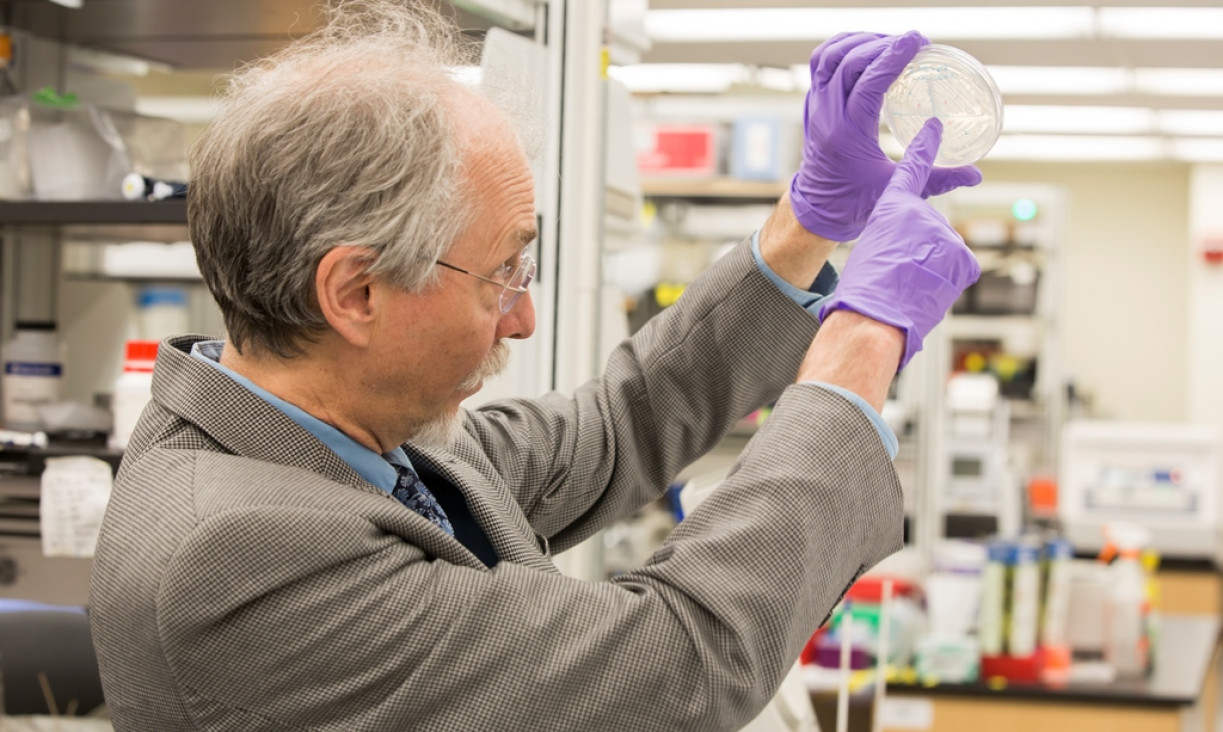 imagen La ciencia, cada vez más cerca de la vida artificial