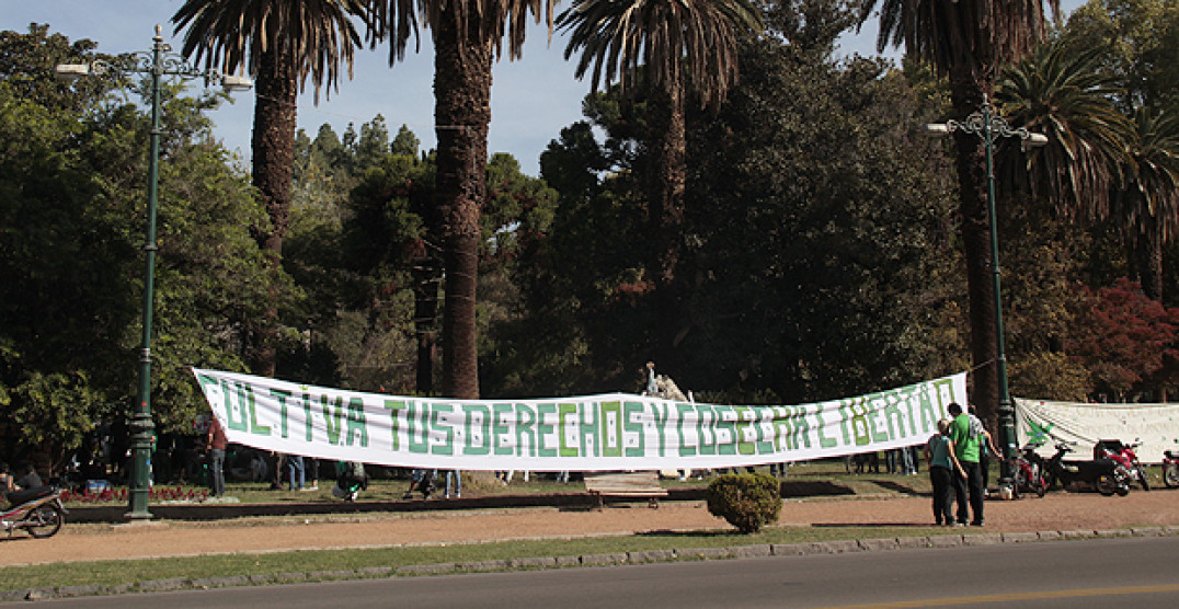 imagen Una multitud se "plantó" por la despenalización del cultivo y consumo de marihuana