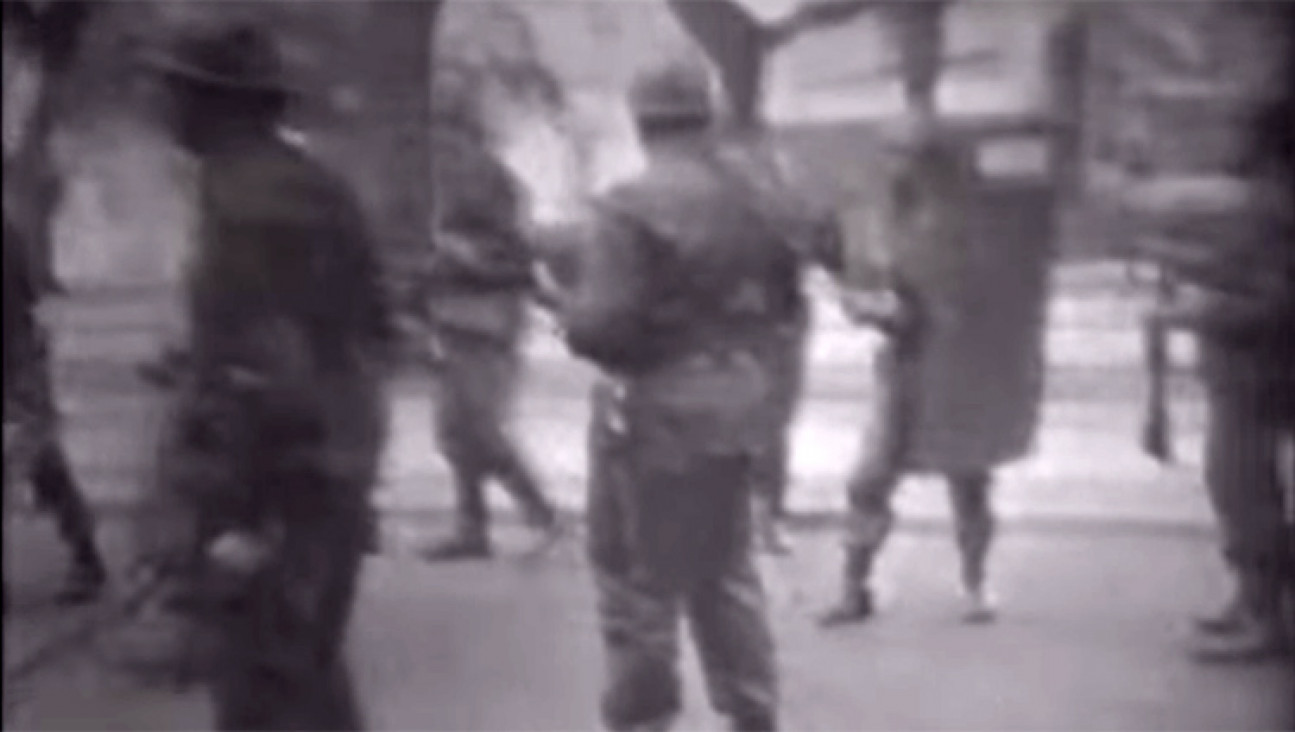 imagen D2, el documental