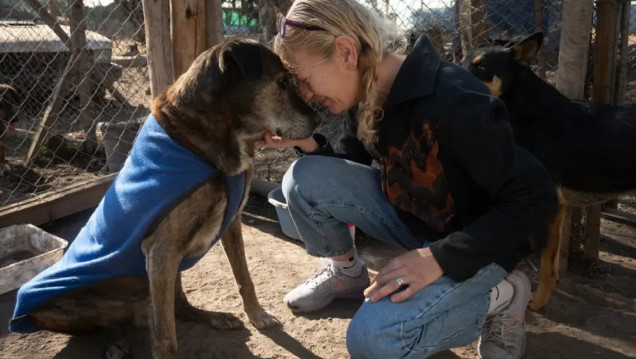 imagen Maltrato animal, una problemática invisibilizada en Mendoza