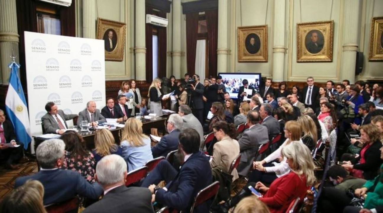 imagen Aborto legal: el proyecto se debatirá sin cambios en el Senado 