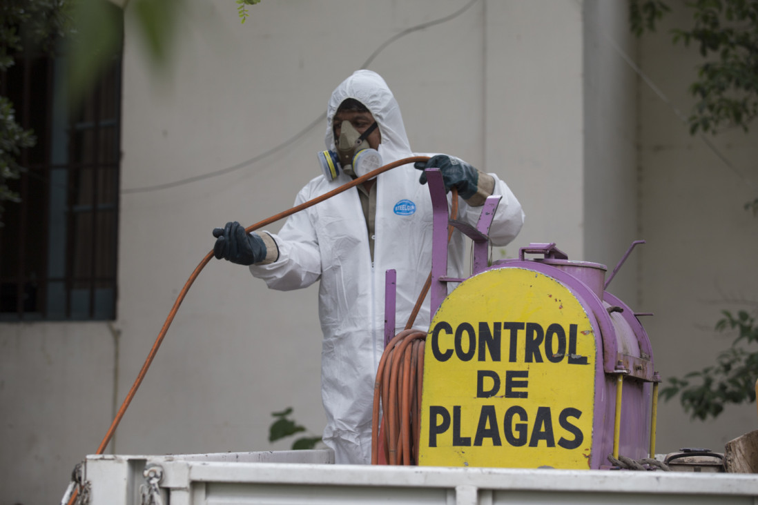 imagen Confirman el primer caso de zika en la provincia