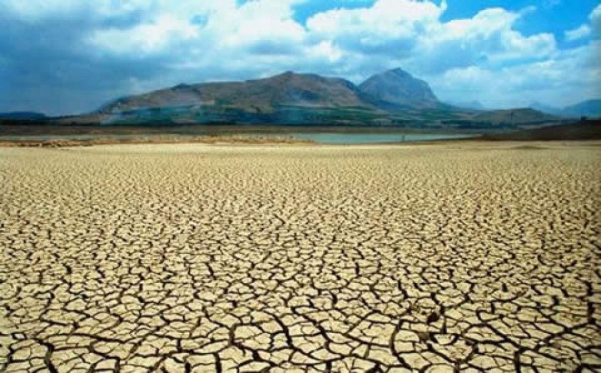 imagen Prevenir la desertificación o morir en el intento